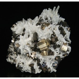 Sphalerite and Pyrite on quartz Peru M02577